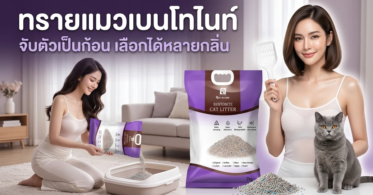 ทรายแมวเบนโทไนท์ Pet Record ถุง 2 กก. นางแบบ 2 คนเทและตักทรายข้างแมวสีเทา