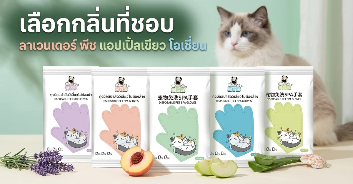 ซองถุงมืออาบน้ำแมว 5 สี เลือกกลิ่นลาเวนเดอร์ พีช แอปเปิ้ลเขียว โอเชี่ยน วางข้างลาเวนเดอร์ พีช แอปเปิ้ล ว่านหางจระเข้ มีแมวนั่งด้านหลัง
